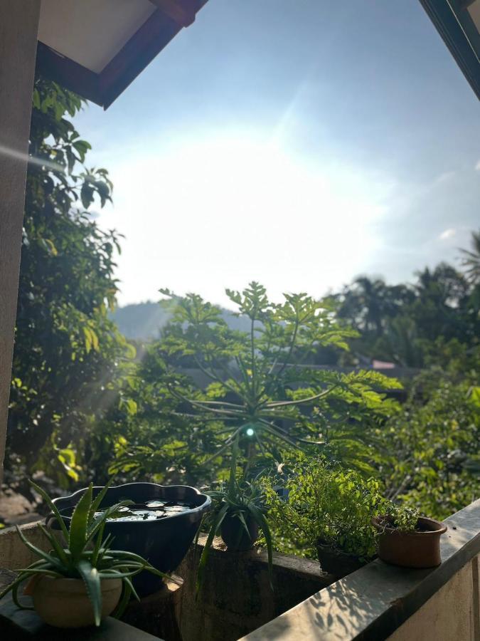 Rustic Mahaweli Apartment Kandy Luaran gambar